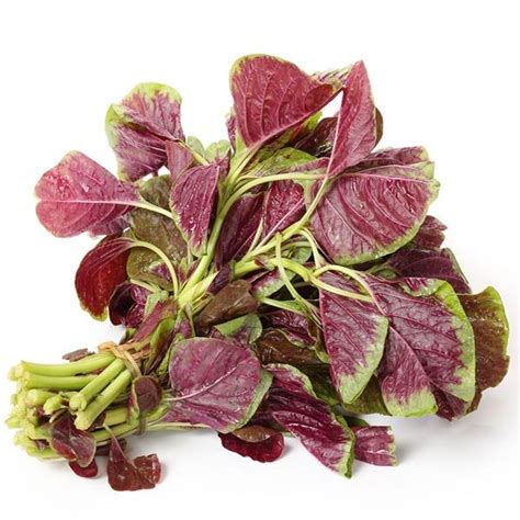 Easy Recipes with Red Amaranth - Farmizen