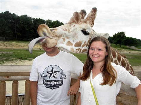 90 Of The Funniest Animal Photobombs Ever | Bored Panda