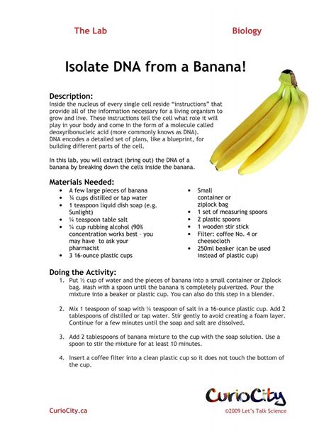 Isolate DNA from a Banana!