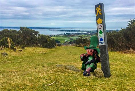 Two sisters claim they SPOTTED A LEPRECHAUN in an Irish forest