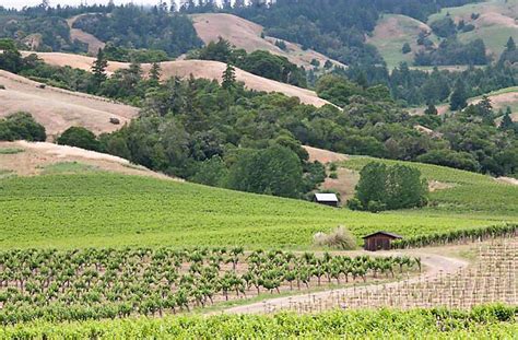 Anderson Valley Vineyards and Wineries - Wine Country Getaways