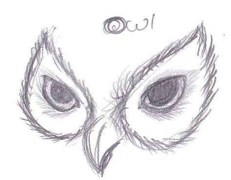 Owl Eyes Anatomy - Anatomy Book