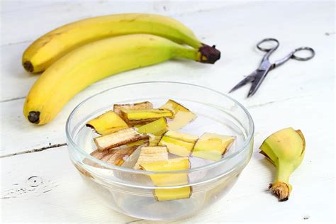 DIY Banana Peel Fertilizer: How to Make Liquid & Dry Banana Peel ...