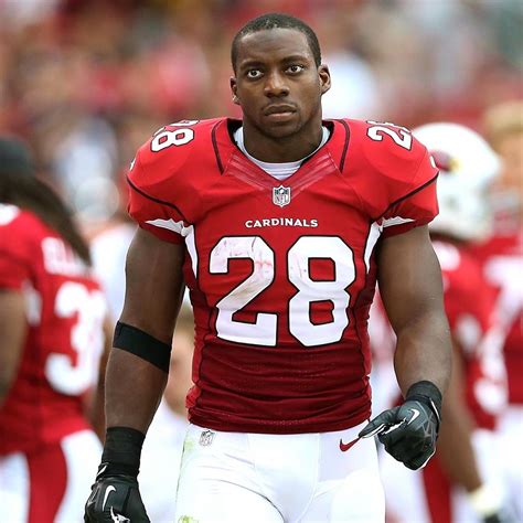 Rashard Mendenhall Will Retire After 6-Year NFL Career | Bleacher Report | Latest News, Videos ...