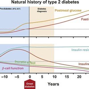 Natural history of type 2 diabetes. Representative depiction of the ...