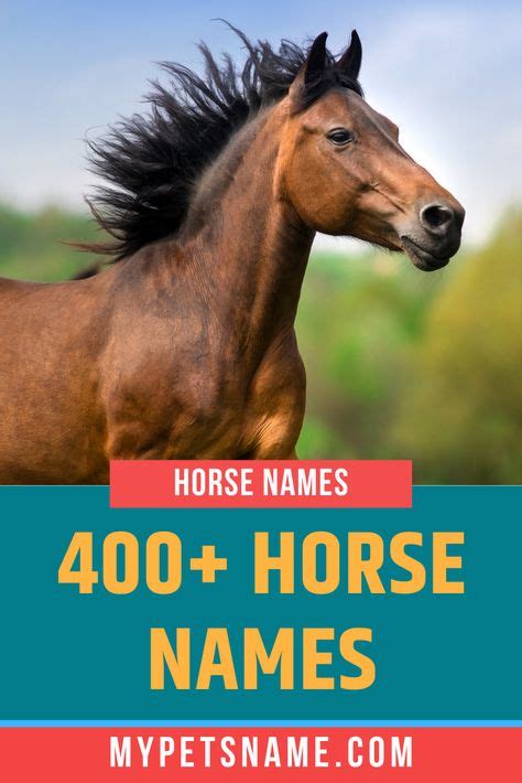 49 Best Horse Names images in 2020 | Horse names, Names, Horses