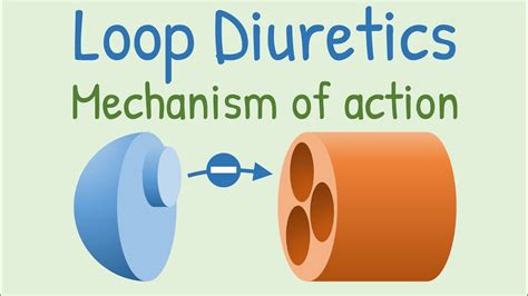 Loop diuretics Mechanism of action - YouTube