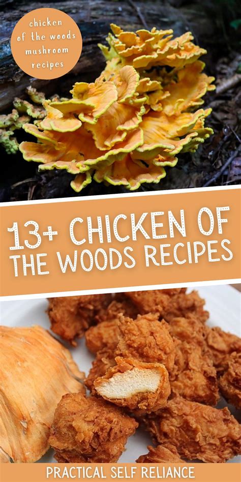 Chicken of the Woods Mushroom Recipes | Mushroom recipes, Stuffed ...