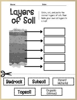 The Five Basic Layers Of Soil Worksheet – NBKomputer