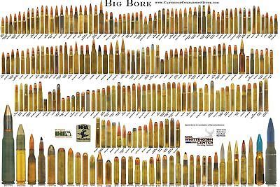 Big Bore Rifle Cartridge Chart Wall Poster Multiple Sizes 11x17-24x36 | eBay