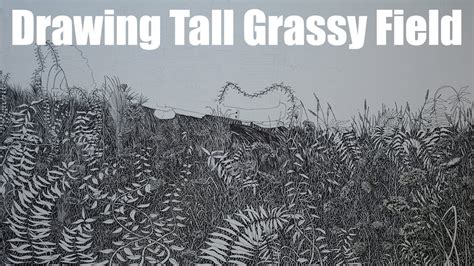 How to Draw Realistic Tall Grass. Drawing A Field - YouTube