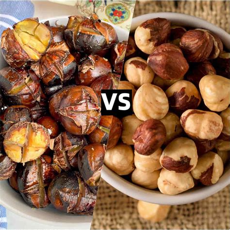 Chestnut vs Hazelnut: Comparison And Difference