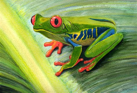 Frog paintings search result at PaintingValley.com