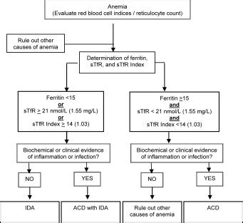 Anemia Diagnosis Algorithm