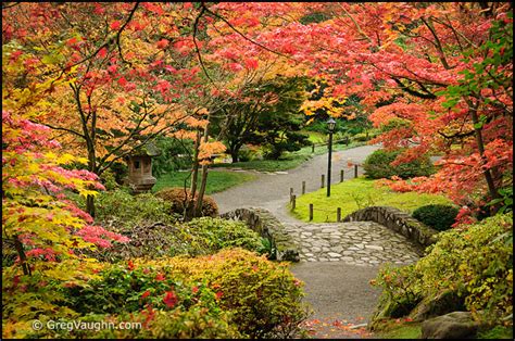 Seattle Area Japanese Gardens in Autumn - Wanders & Wonders