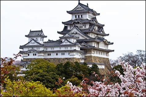 La bellezza del castello di Himeji, antica fortezza giapponese difesa ...