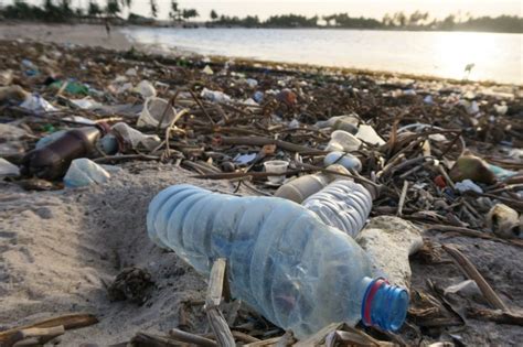 What can we do about global plastic pollution? | Center for Leadership ...