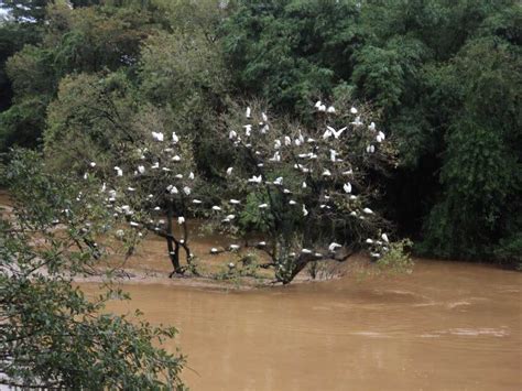 Mandagadde Bird Sanctuary, Shimoga| Mandagadde Bird Sanctuary Photos and Timings