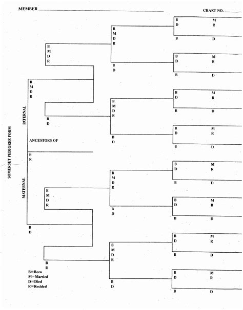 Genealogy Printable Forms And Charts