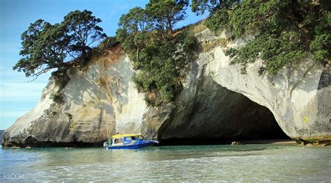 Akaroa Harbour Nature Cruise