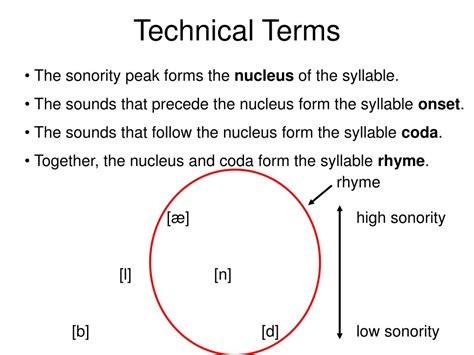 PPT - Phonology, Part V: Rules + Syllable Structure PowerPoint Presentation - ID:272970