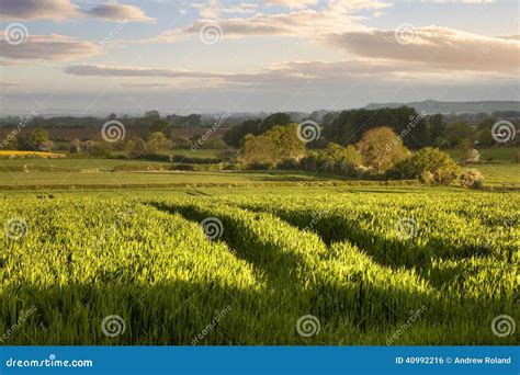 Warwickshire countryside stock photo. Image of warwickshire - 40992216