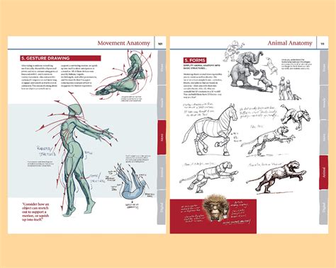 Book: How to Draw and Paint Anatomy Book Drawing Anatomy - Etsy