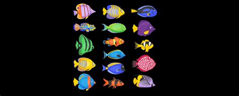 A Guide On Tropical Fish Species & The Best Tropical Fish For Beginners