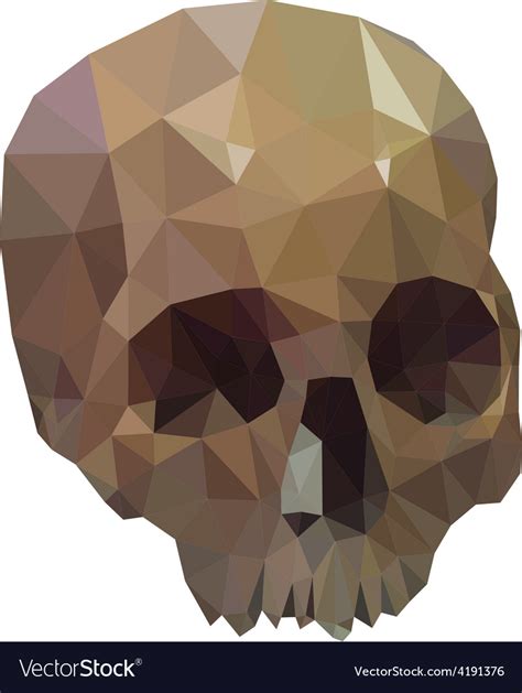 Low poly skull Royalty Free Vector Image - VectorStock