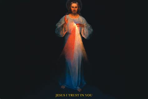 The Luminous Mysteries: Divine Mercy Meditations | Catholic Truth Society