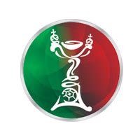 Portugal's Football Leagues & Cups | FootyStats