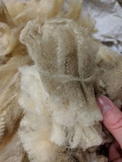 Sheep Fleece Info - How to Select the Perfect Fleece - Sheep Unique