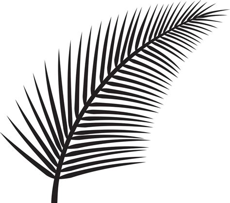 Leaf of Palm Tree 3495475 Vector Art at Vecteezy