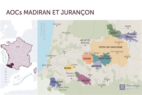 Wineries for sale in the AOC Madiran - the kingdom of Tannat grapes | Rimontgó