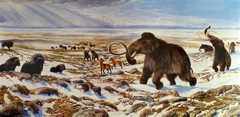 Unearthing clues to the mystery of the great Pleistocene extinction in Yukon | Canadian Geographic