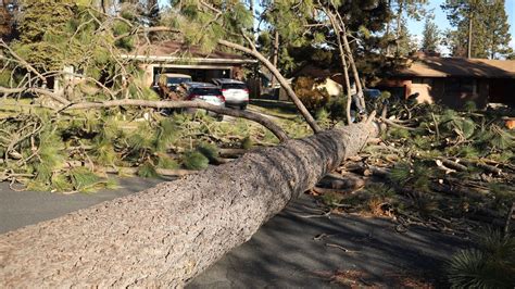 Latest updates on Spokane-area road closures during windstorm | krem.com