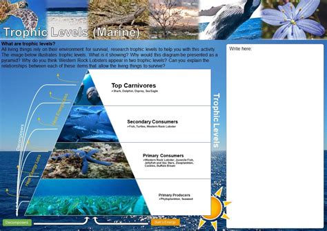 Trophic Levels (Marine) - NACC - Northern Agricultural Catchments Council