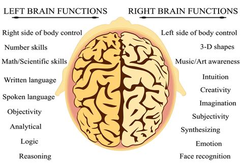 Adult Home Speech Therapy Tacoma Puyallup — Stroke Education