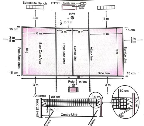 [Latest] Volleyball History | Rules | Measurements 2024