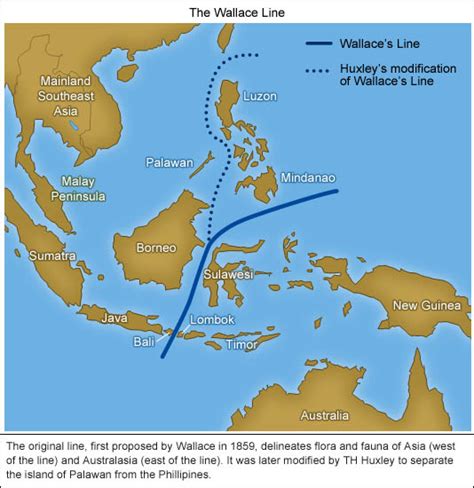 Drawing the line at Bali › Science Features (ABC Science)