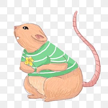 Vole PNG Transparent Images Free Download | Vector Files | Pngtree