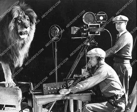 historic MGM Studios filming Leo the Lion for movie logo 1518-12 – ABCDVDVIDEO