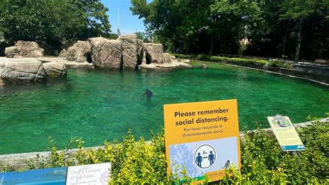 What to Know About the Bronx Zoo’s Reopening Plans