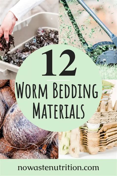 12 Cheap and Easy Worm Bedding Options - No Waste Nutrition