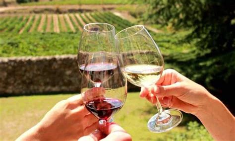 7 Tips for Planning the Perfect Wine Tour - Tasteful Space