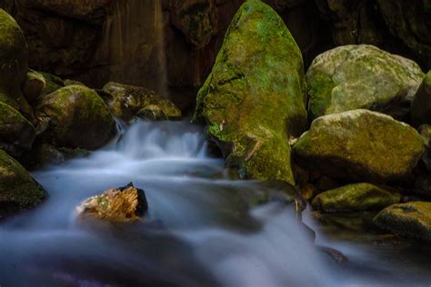 The Ultimate Guide To The Sierra Gorda Biosphere Reserve In Mexico!