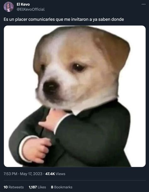 Dog In A Suit | Dog In A Suit | Know Your Meme