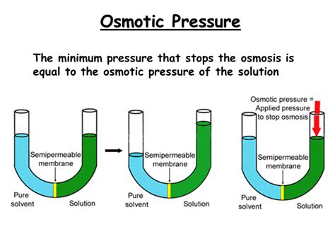 PHARMACEUTICAL MICROBIOLOGY: Osmotic Pressure