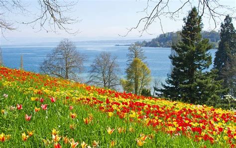 Insel Mainau: the Flower Island of Lake Constance | Attractions in ...