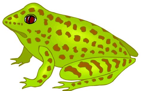 Free Frog Clipart